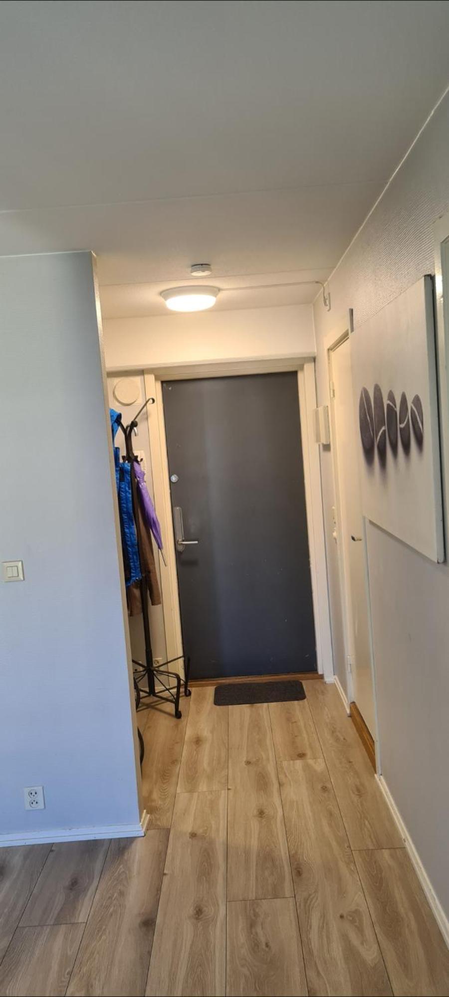 Modern Central Apartment Next To Beautiful Nature2424 オスロ エクステリア 写真