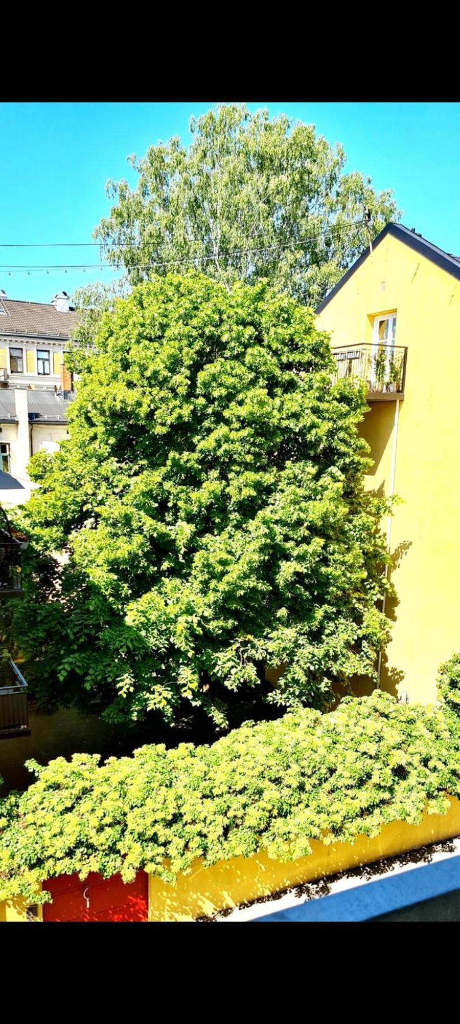 Modern Central Apartment Next To Beautiful Nature2424 オスロ エクステリア 写真
