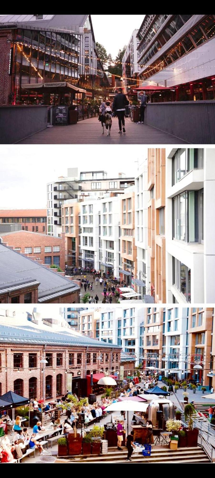 Modern Central Apartment Next To Beautiful Nature2424 オスロ エクステリア 写真