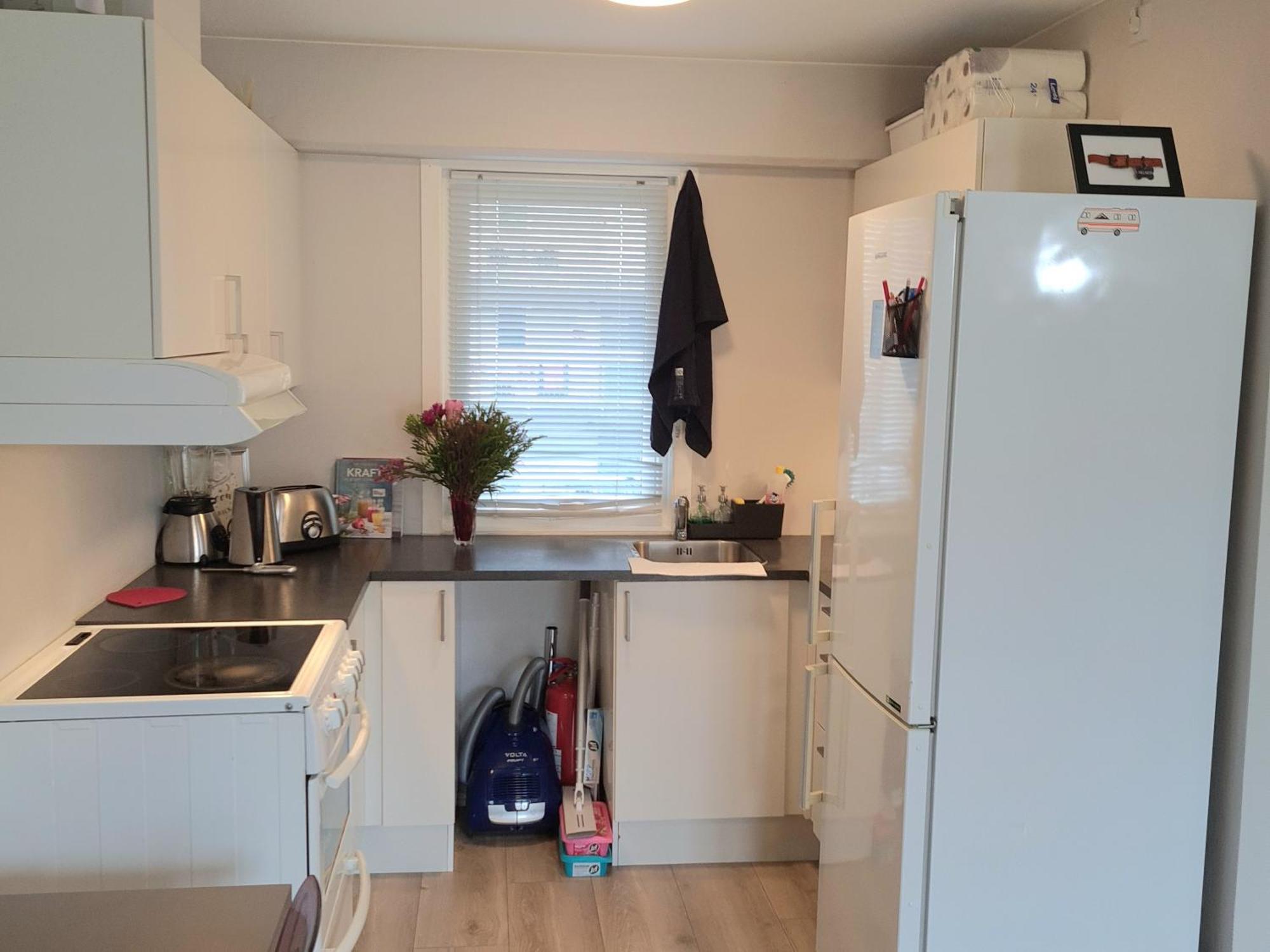 Modern Central Apartment Next To Beautiful Nature2424 オスロ エクステリア 写真