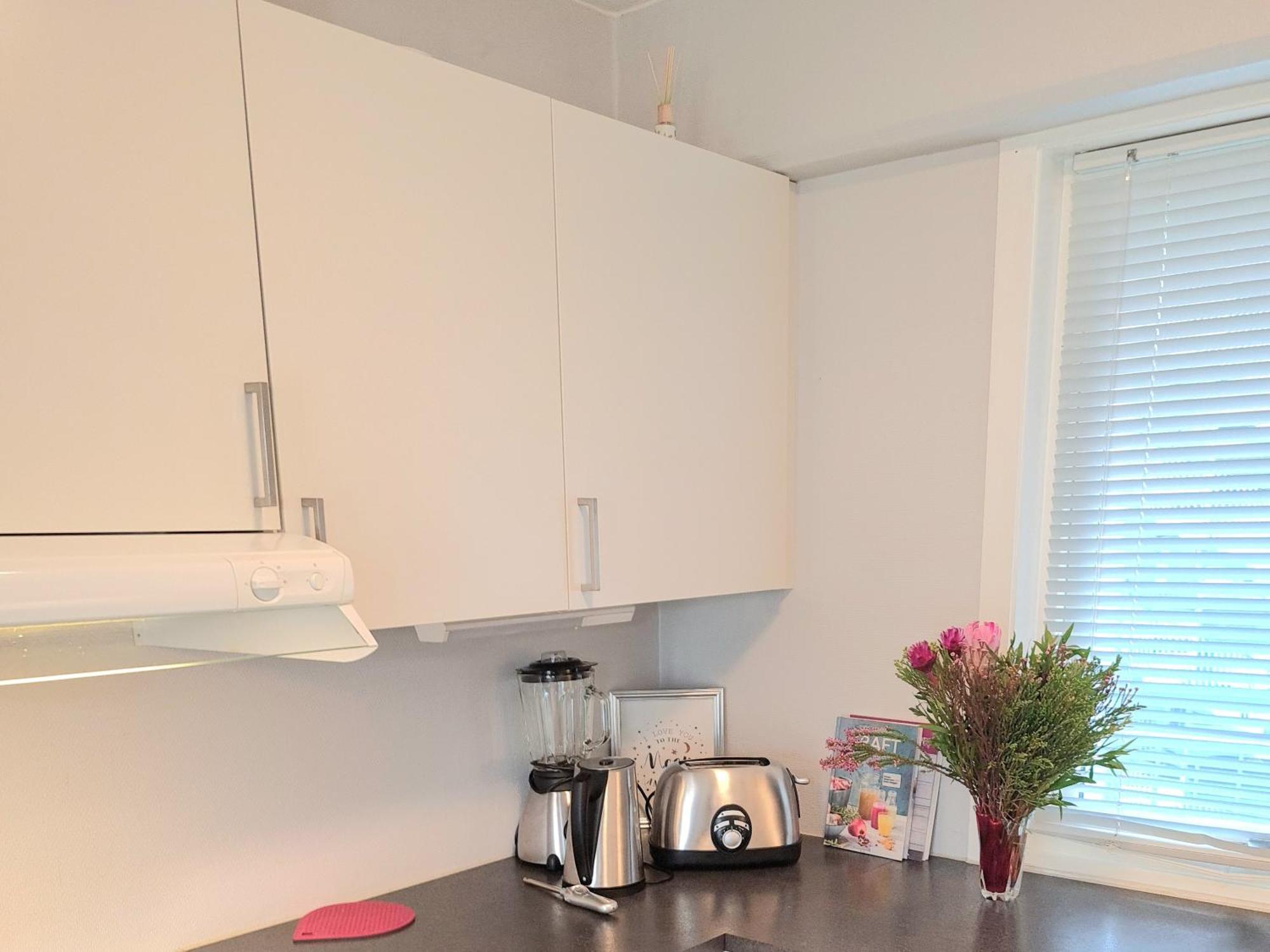 Modern Central Apartment Next To Beautiful Nature2424 オスロ エクステリア 写真